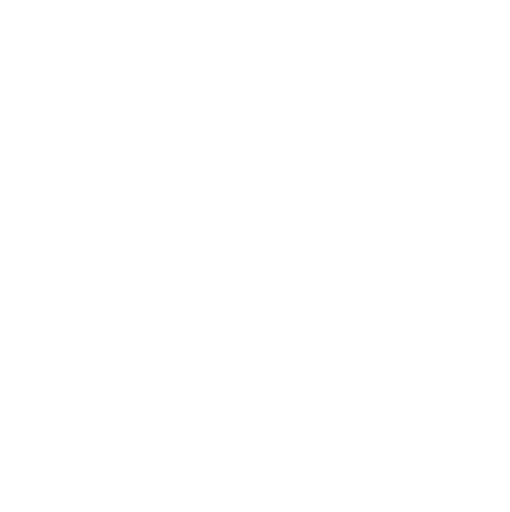 Therapeutic Behaviour Support